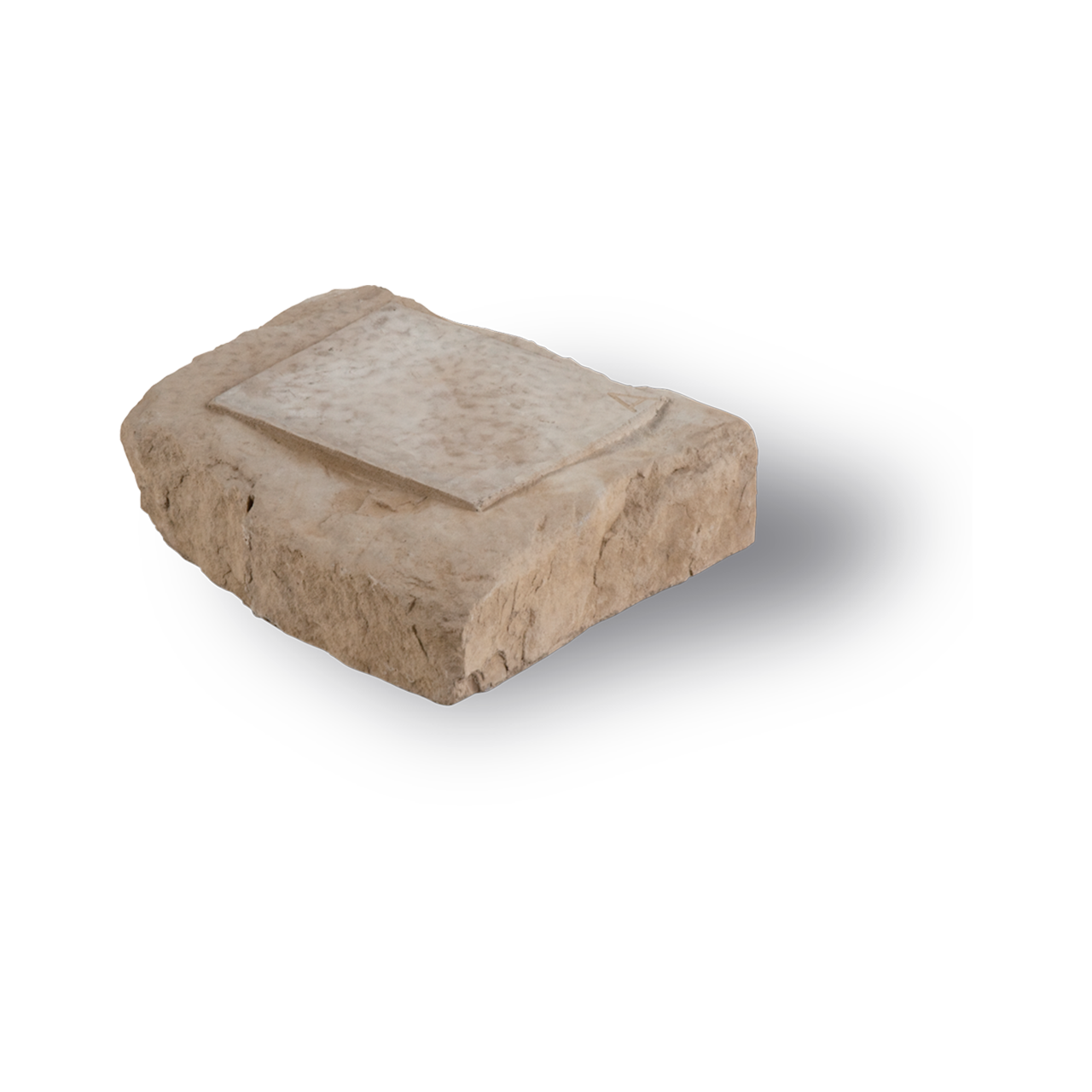 CORNER SHORT